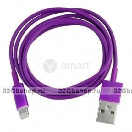 USB cable Lightning PA-02 (Papada) purple