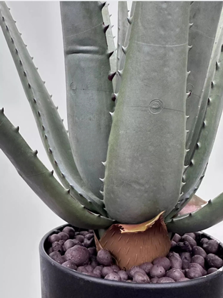 Алоэ в кашпо 65см