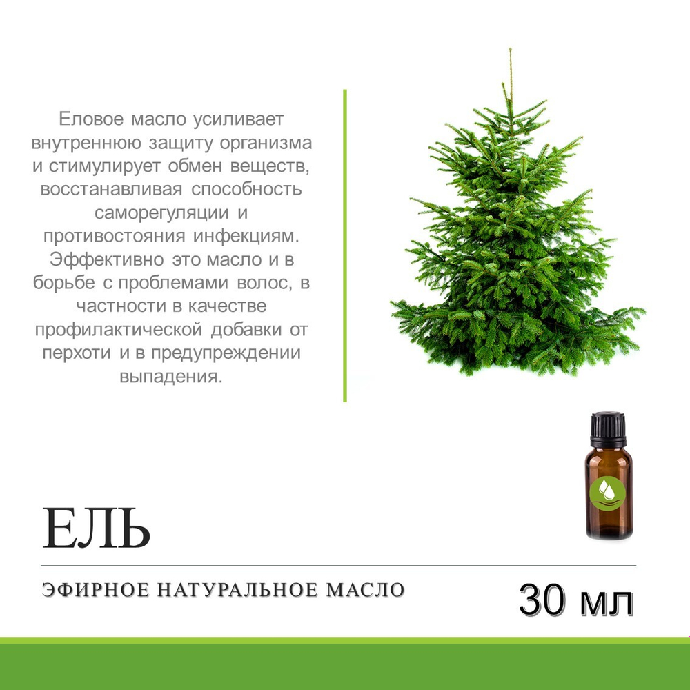 Эфирное масло Ели / Picea Abies Leaf Oil