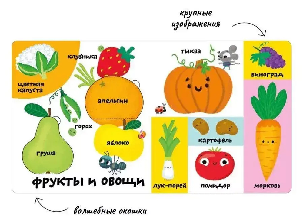 Мои первые 100 слов с окошками