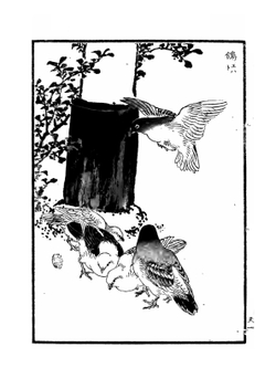 Bairei hyakucho gafu. Volume 1 | Kono Bairei