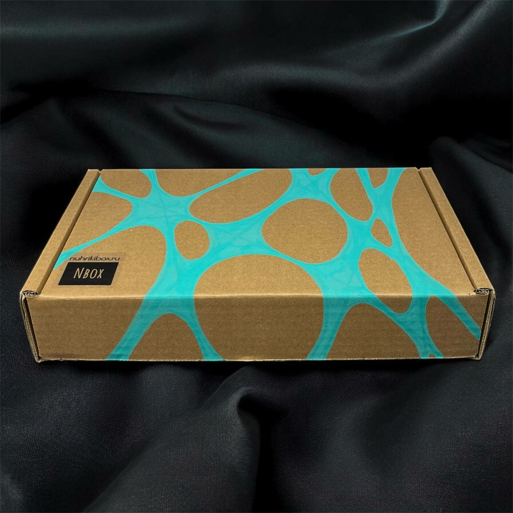 Подарочный набор для каллиграфии «Магия чернил-1»