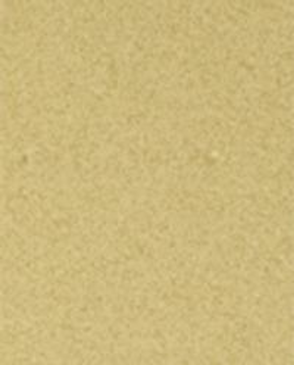 Ластик Zara Home, разноцветный, 3 шт., 7608/728