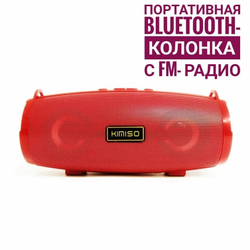 Колонка KIMISO KMS 222