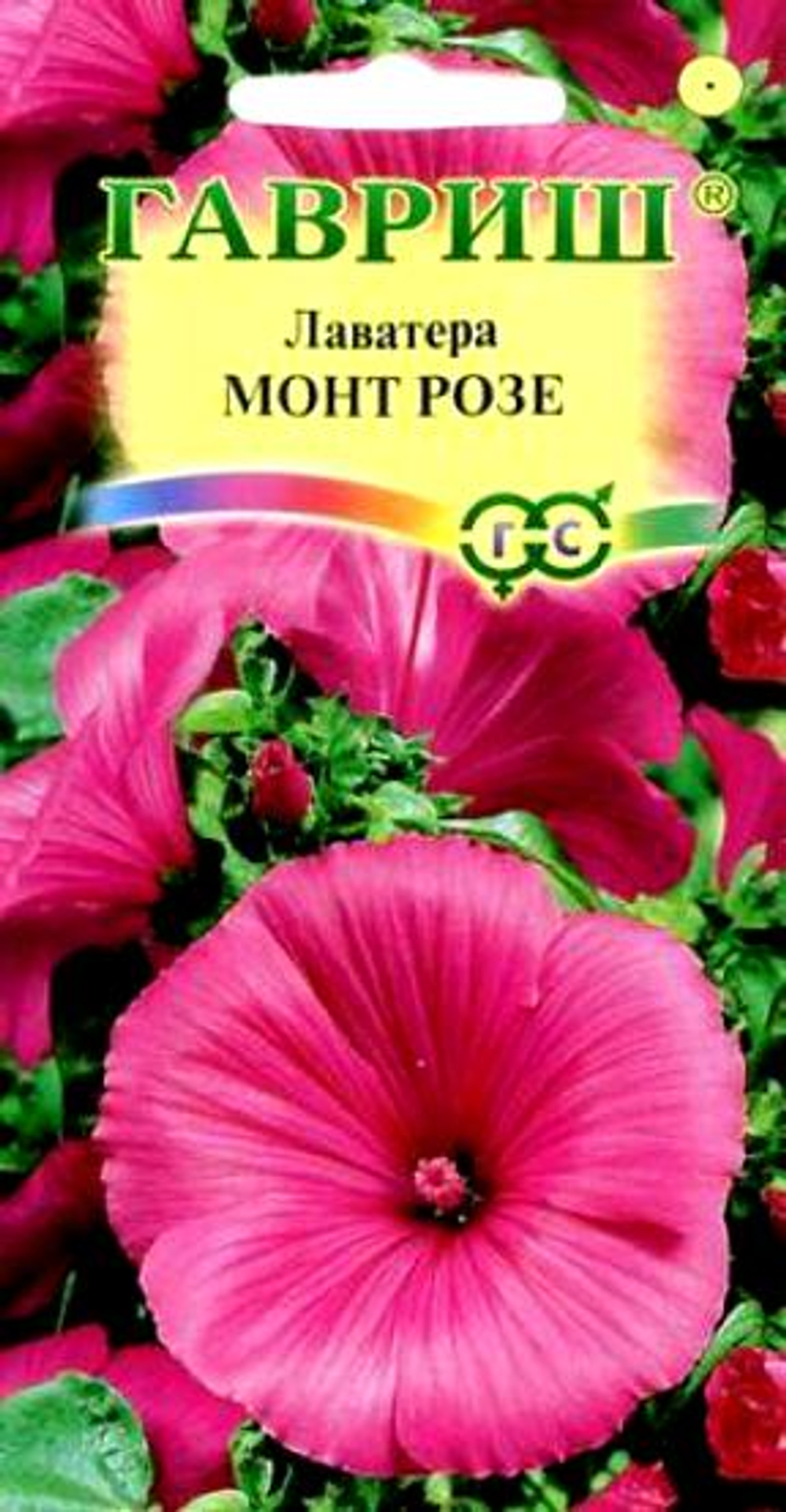 Лаватера Монт Розе 0,5 гр Гавриш