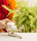 Шкатулка для украшений bird skull (белый)