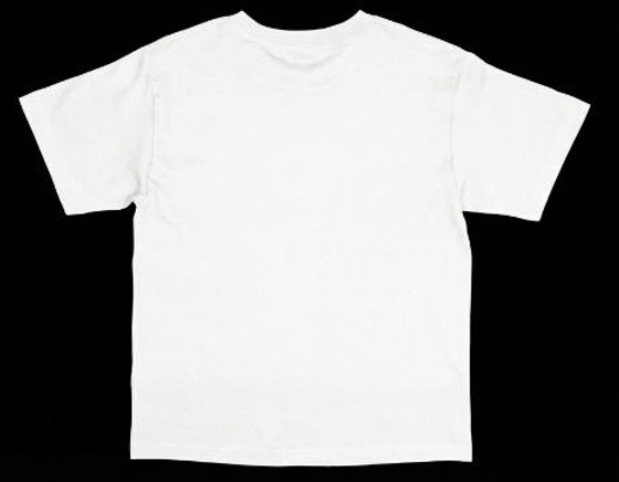 T-SHIRT "EUPHORIA EAGLE"