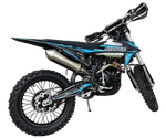 Мотоцикл Avantis Enduro 300 EFI Exclusive (PR300/175FMM) ARS (2024)