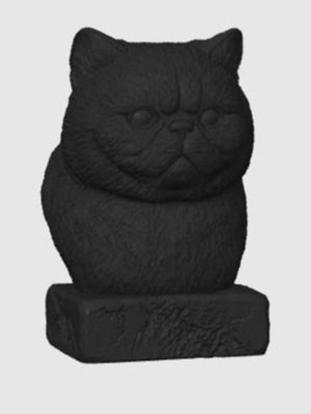 Экзотическая Короткошерстная Кошка