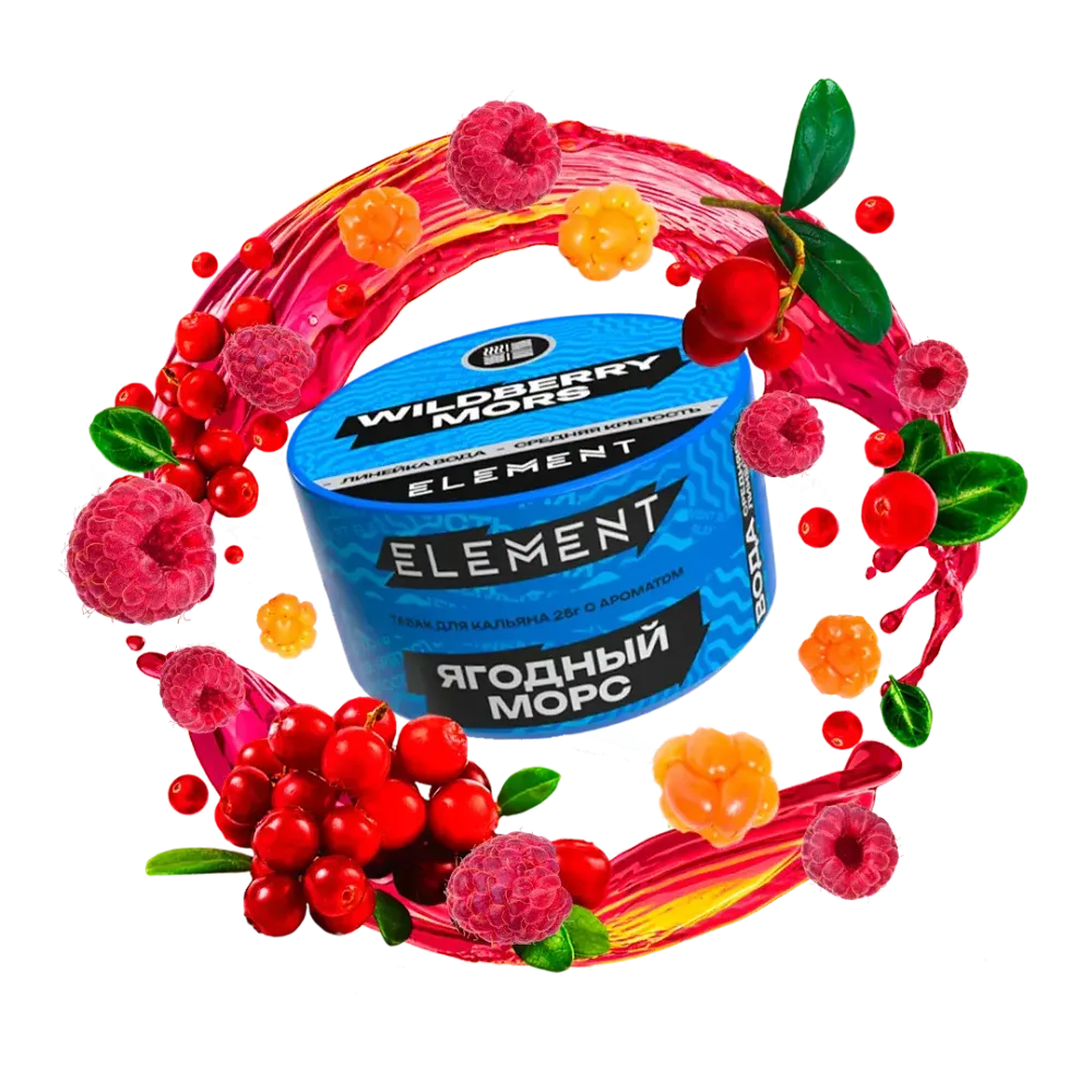ЭЛЕМЕНТ Вода Wildberry Mors (Ягодный морс) 25г