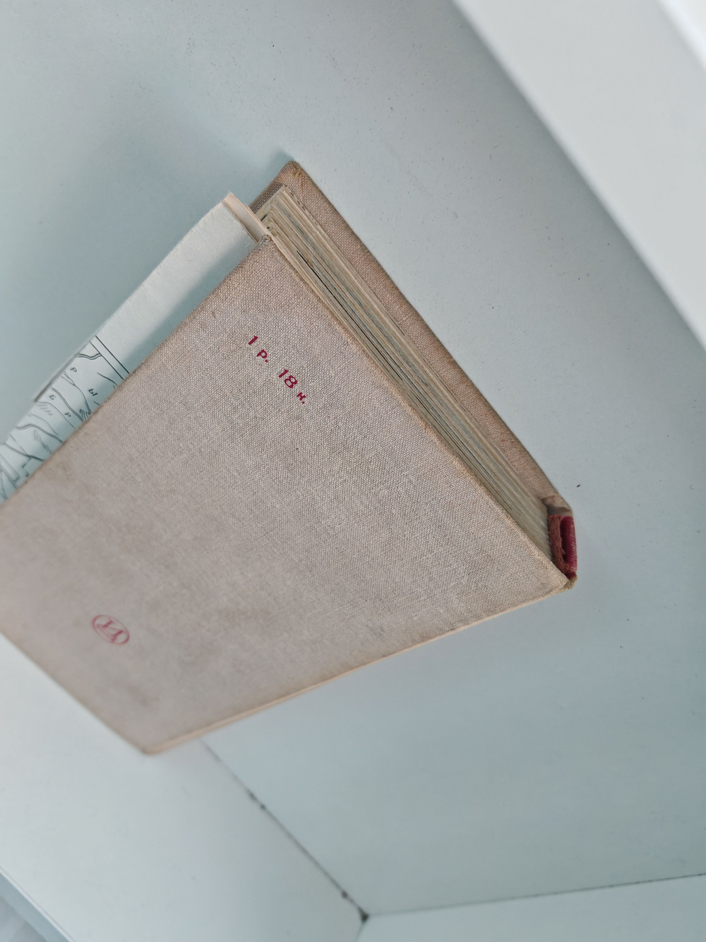 Жизнь и сказки Уолта Диснея