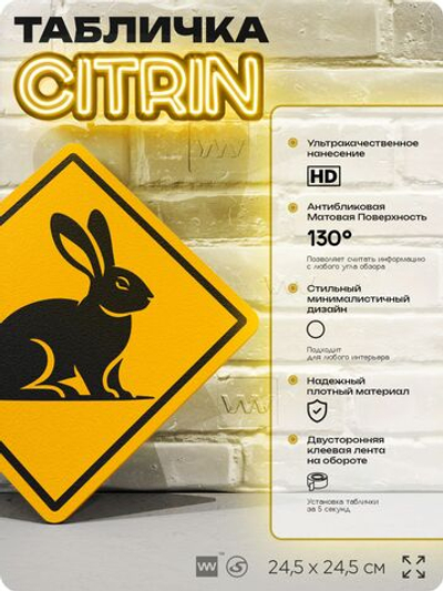 Табличка прикольная "Осторожно, заяц" на дверь и стену, информационная и предупреждающая, декоративный знак, 24,5х24,5 см, пластиковая, Айдентика Технолоджи
