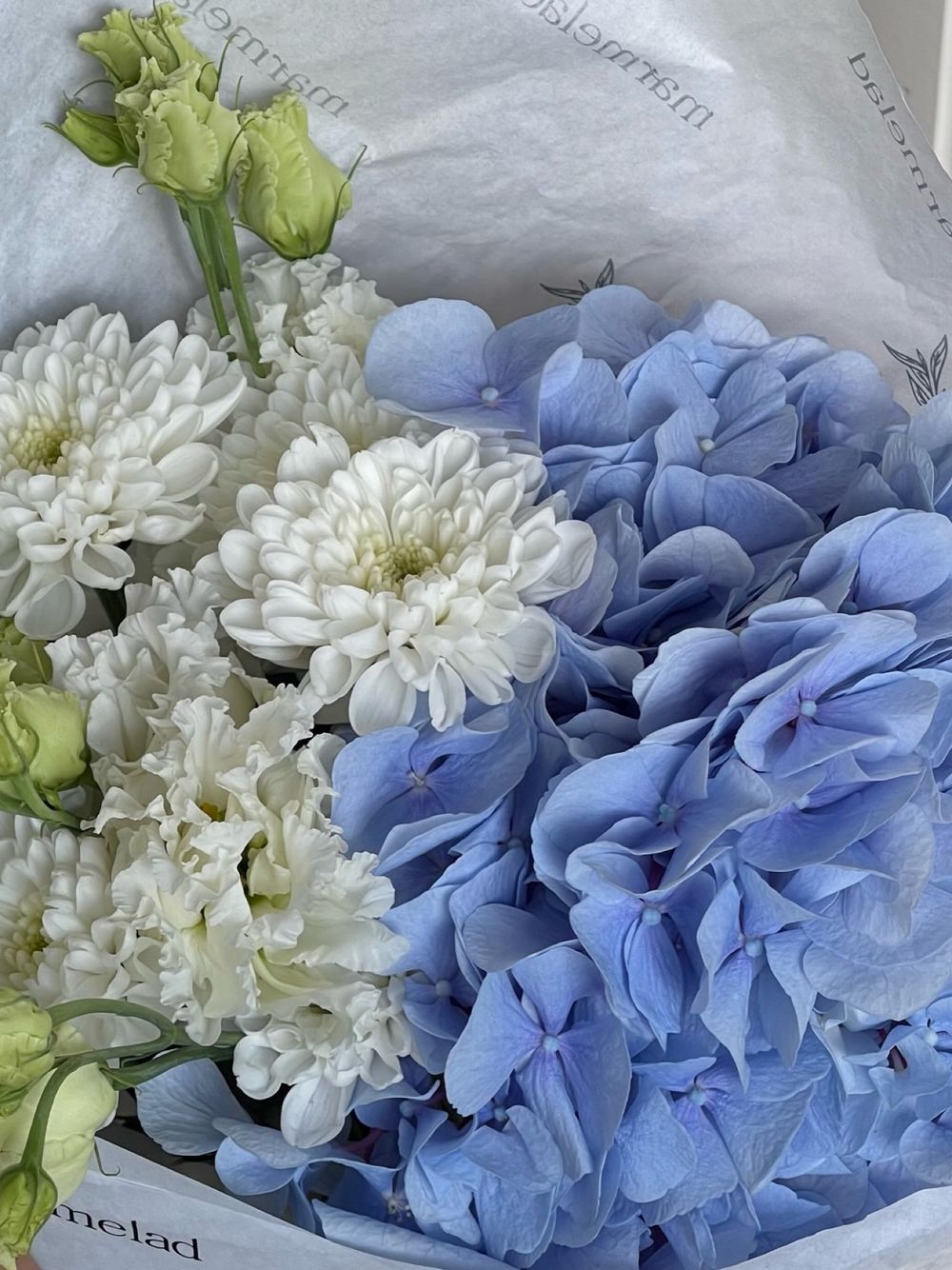 Кулек из гортензии, хризантемы и лизиантуса