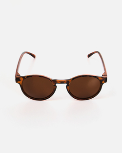 Очки Anteater Доктор Леопард/Коричневый