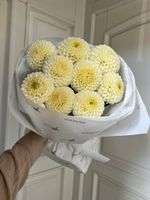 Моно букет из георгин