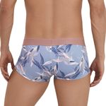 Мужские трусы хипсы голубые с принтом Clever ARCANE LATIN BOXER 113412