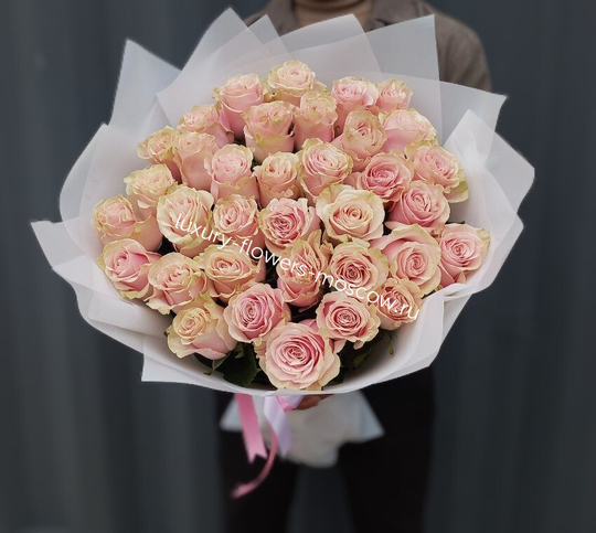 35 роз свит мондиал