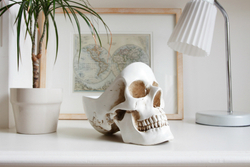 Органайзер для мелочей Skull белый