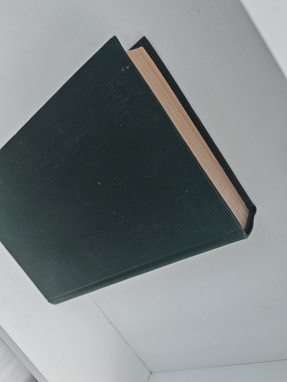 Чарльз Диккенс. Собрание сочинений в тридцати томах. Том 19. Тяжелые времена