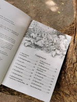 Книжный лес