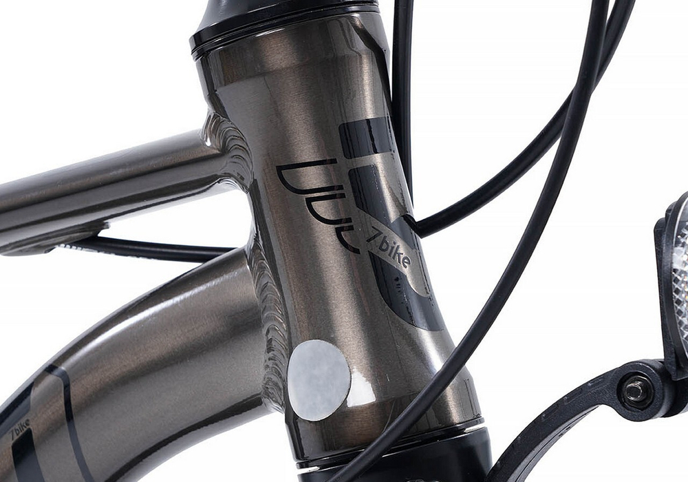 Maxiscoo "7BIKE" 20'' M700 (2024)
