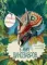 В мире динозавров. Книжка с окошками