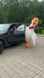 Веселый Гусь Валера