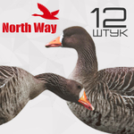 Профиля белолобого гуся North Way