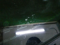 Форточка задняя левая BMW X4 G02 (2018-н.в.)