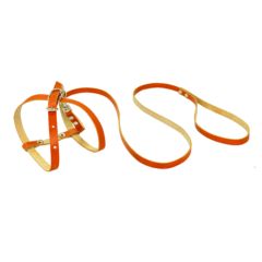 Зооник комплект из цветной кожи (поводок 1,5м + шлейка 12 мм)