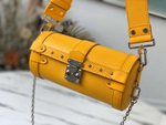 Louis Vuitton Papillon Trunk