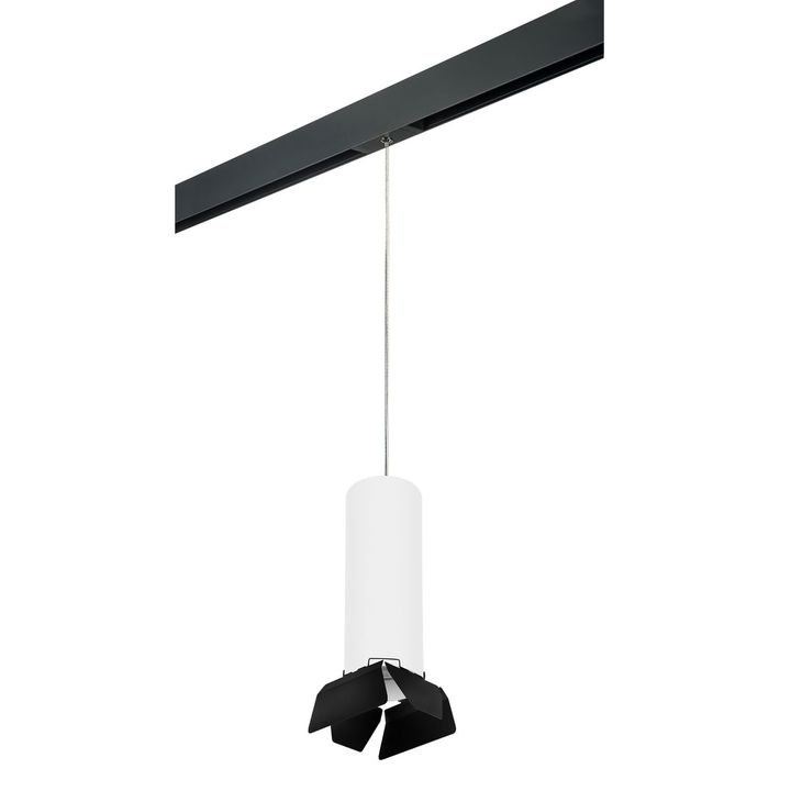 Комплект с трековым светильником Lightstar Rullo (216496+595887+202487) PRORP6496487