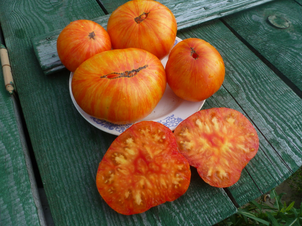 Помидоры - Beauty King - Король Красоты