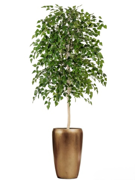 Комплект - Берёза натуральная 140 см в кашпо TREEZ Effectory - Metal