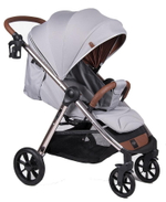 Детская прогулочная коляска Coletto Jazzy Rose Grey