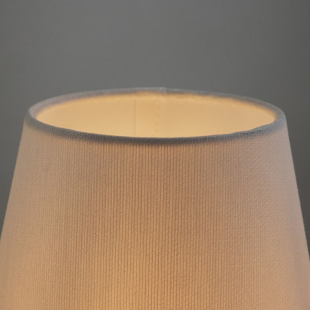 Настольная лампа декоративная Freya Pietra FR5371TL-01BS