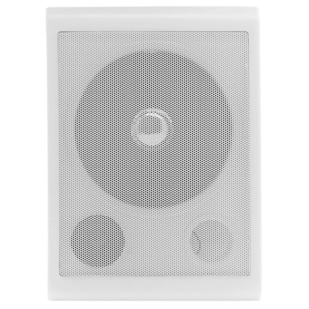 Громкоговоритель TSo-SW6a