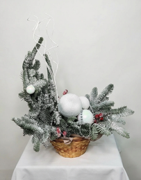 Зимняя коллекция