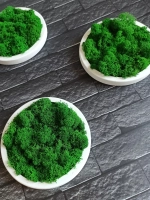 Круглое панно на стену из мха набор 3 шт.