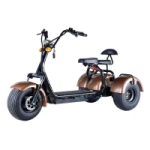 Электроскутер CityCoco Skyboard MyRussia (Маруся) BR60 3000W Trike