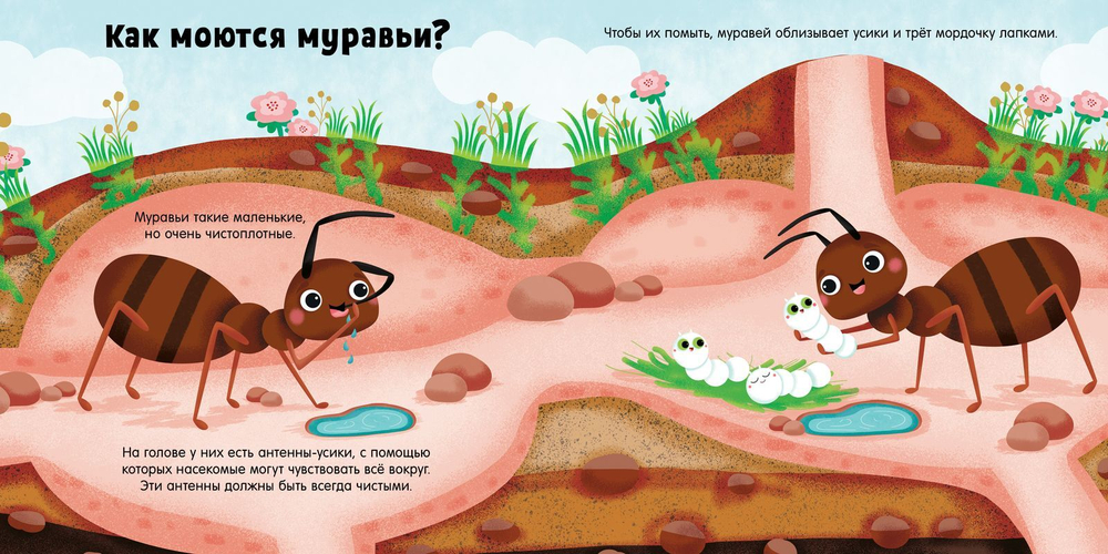 Животные и их малыши. Пора купаться!