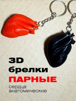 Парные брелки 3D сердце анатомическое красное и черное