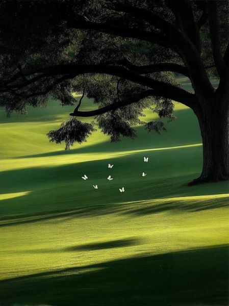 Психологическая консультация детского психолога Психологическая консультация детского психолога