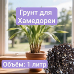 Авторский грунт для пальмы Хамедореи, 1 литр