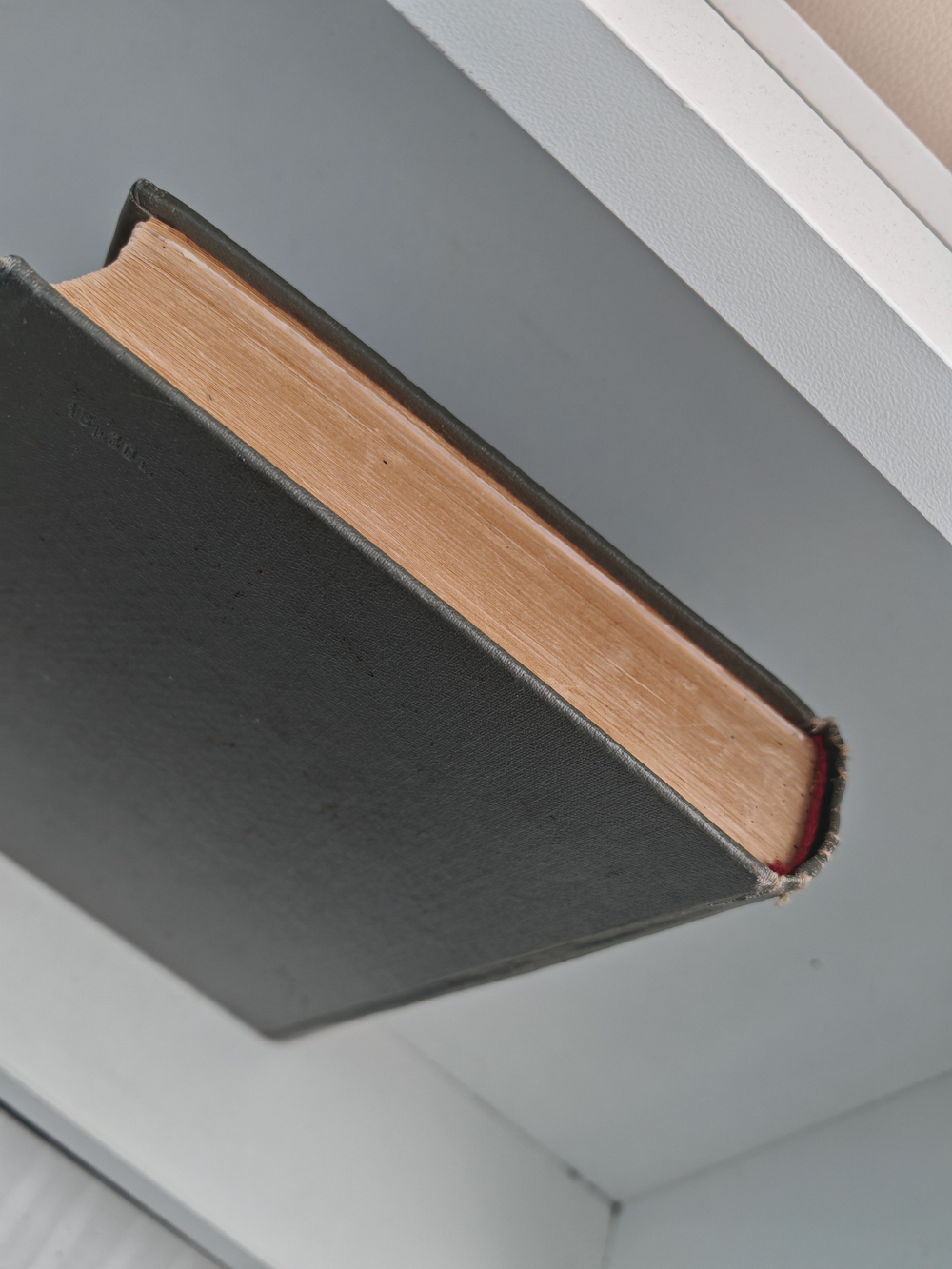 Антон Григорьевич Рубинштейн. Жизнь, артистический путь, творчество, музыкально-общественная деятельность. Том 1. 1829-1867