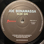 Joe Bonamassa - Sloe Gin (Европа 2007г.)