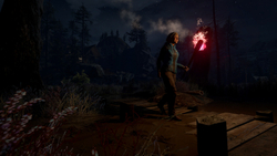 Through the Woods (для ПК, цифровой код доступа)