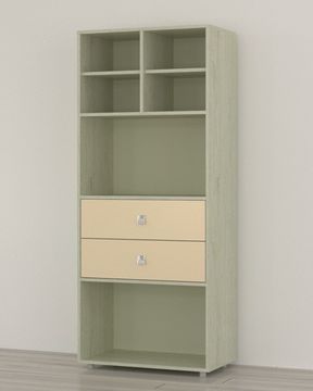 Шкаф ДЖЕРСИ-2