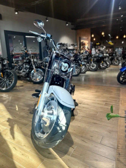 Harley-Davidson Fat Boy 117 Billiard Gray, 2025 c НДС