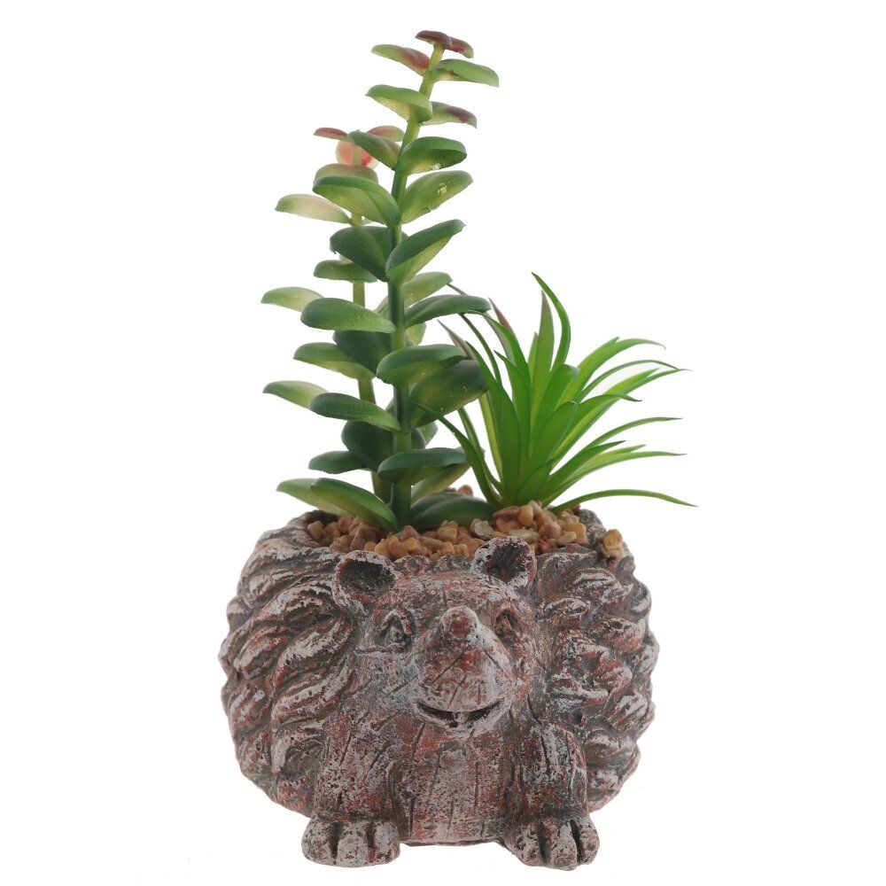 GAEM Цветочная композиция "Суккулент", L14 W12 H12 см